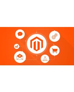 Build Your Magento Store