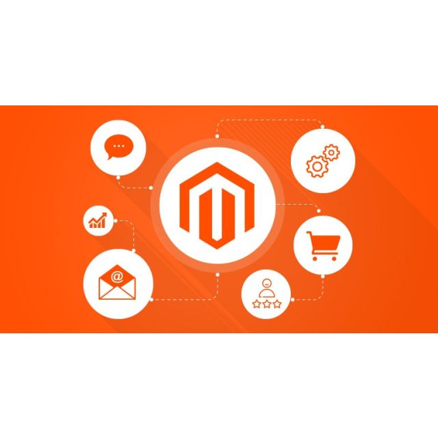 Build Your Magento Store